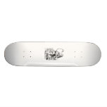 Alice and the Flamingo Skateboard Decks