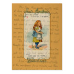 Alice and the Thimble Postcard postcards