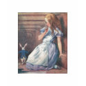 Alice and the White Rabbit t-shirts by Storybook_Quotes Alice and the White Rabbit t-shirts