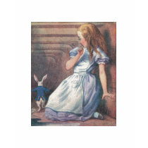 Alice and the White Rabbit t-shirts