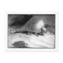 Alice B. Woodward: Daedicurus art postcard