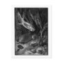 Alice B. Woodward: Devonian Period art postcard