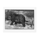 Alice B. Woodward: Elasmotherium art postcard