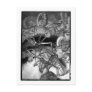 Alice B. Woodward: Jurassic Period art postcard