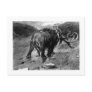 Alice B. Woodward: Mammoth art postcard