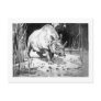 Alice B. Woodward: Titanotherium art postcard
