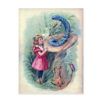Alice & Caterpillar Post Cards