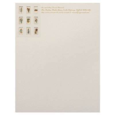 Alice Collection Stationery Letterhead by FirstNightDesign