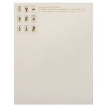 Alice Collection Stationery Letterhead