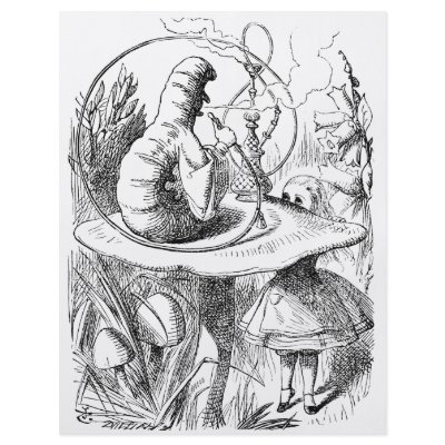 Alice consults The Caterpillar Flyers by marcusfaith