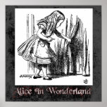Alice In Wonderland 11 Poster posters