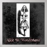 Alice In Wonderland 12 Poster posters