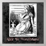 Alice In Wonderland 13 Poster posters