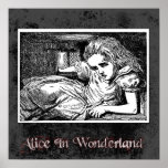 Alice In Wonderland 15 Poster posters