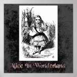 Alice In Wonderland 22 Poster posters