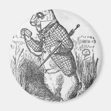 Alice in Wonderland 2.5 Magnet