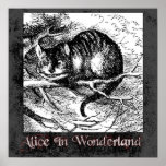 Alice In Wonderland 35 Poster posters