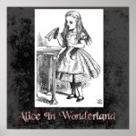 Alice In Wonderland 38 Poster posters