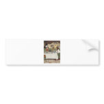 Alice in Wonderland 3 Bumper Stickers