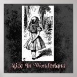 Alice In Wonderland 42 Poster posters