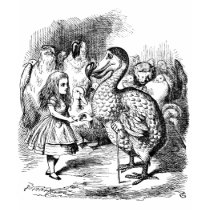 Alice in Wonderland and Dodo Bird t-shirts by jerseyskimmilk Alice in Wonderland and Dodo Bird t-shirts