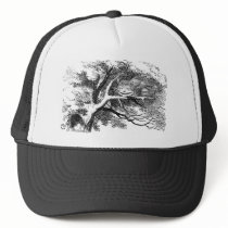Alice in Wonderland: Cheshire Cat hats