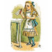 Ladies Baby Doll (Fitted)