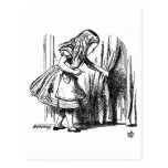 Alice in Wonderland  Small Door to Wonderland Post Card