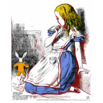 Alice in Wonderland T-Shirt by WaywardMuse Alice in Wonderland T-Shirt