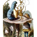 Alice in Wonderland shirt
