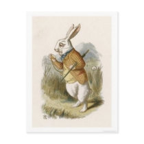 Alice in Wonderland: White Rabbit in Color Postcards