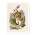 Alice in Wonderland: White Rabbit in Color Postcards