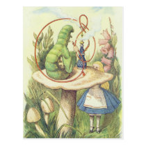Alice Meets the Caterpillar postcards