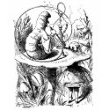 Alice meets the Caterpiller t-shirts