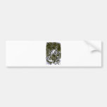 Alice & The Jabberwocky Bumper Sticker