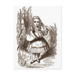 Alice & the Pig Postcards