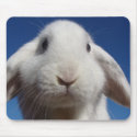 Alice - White Lop Rabbit mousepads