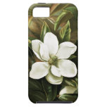 Alicia H. Laird: Magnolia Grandflora casemate cases