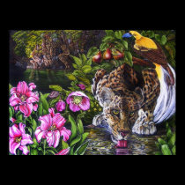 Alidas Garden posters