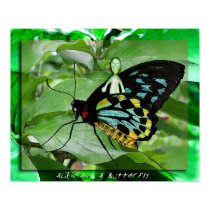 aLiEn and a Butterfly! posters