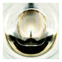 Alien Attractors 1.3 posters by Algofractals Alien Attractors 1.3 posters