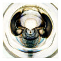 Alien Attractors 1.4 posters by Algofractals Alien Attractors 1.4 posters