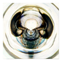 Alien Attractors 1.4 posters by Algofractals Alien Attractors 1.4 posters