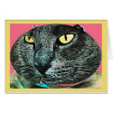 Alien Cat cards