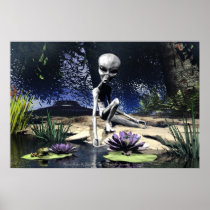 alien, aliens, scifi, space, world, worlds, frog, dragonfly, frogs, dragonflies, ufo, grey, trees, tree, nature, pond, water, lilly, pad, characters, Poster with custom graphic design