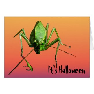 Alien Katydid Halloween Card
