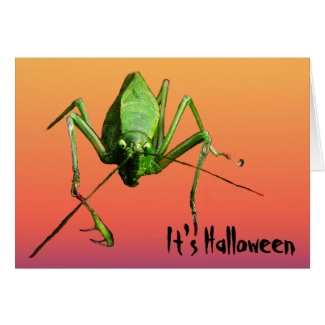 Alien Katydid Halloween