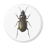Alien Refrigerator Magnets