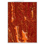 Alien Orange Greeting Card