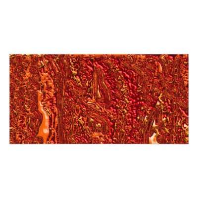 Alien Orange Photo Greeting Card by GoldenNokomis